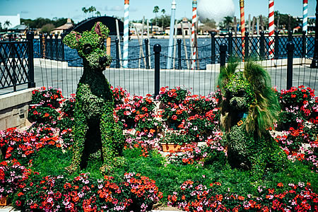 Florece el Taste of EPCOT International Flower & Garden Festival