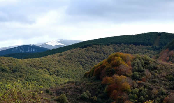 Sierra de la Demanda, España