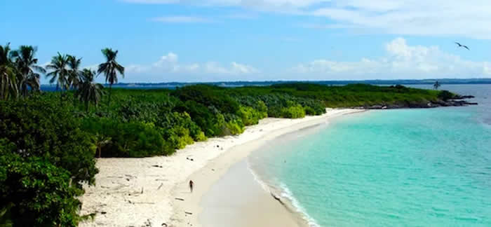 Isla Iguana - Pedasí - Panamá