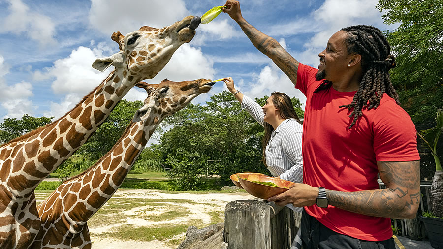 Bienvenido al Zoológico de Miami, un paseo por el mundo