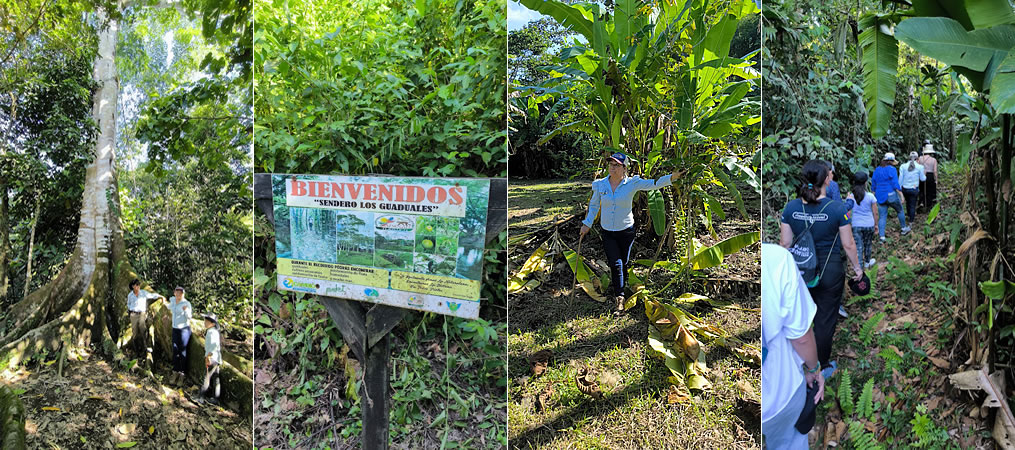 Finca La Fortuna, una historia de transformación familiar