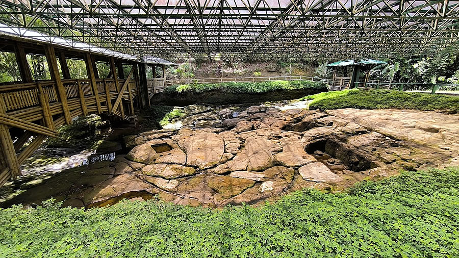 Descubriendo el Pasado: Visita al Museo Arqueológico de Obando en San Agustín, Huila