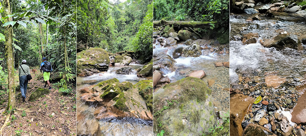 Aventura al Corazón de la Amazonía: Navegando por el Río Caquetá con Suma Selva Travel