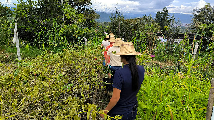 San Agustín: Un Viaje a la Magia de TierrActiva