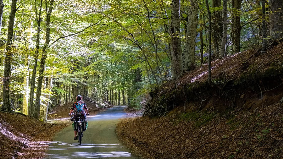 Calabria en bicicleta, el viaje slow en el coraz&oacute;n verde del Mediterr&aacute;neo
