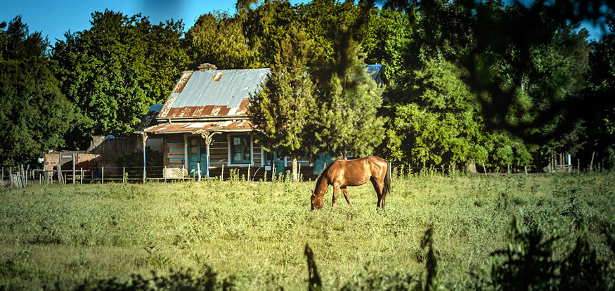 4 Ronda Inversiones General Madariaga