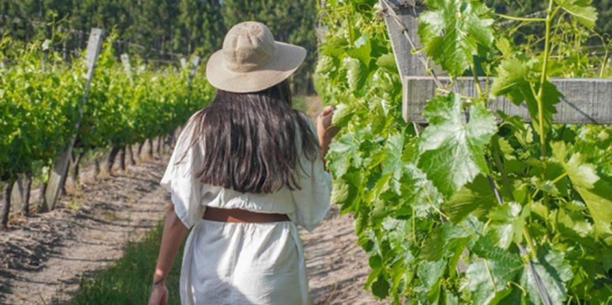 Turismo en Concordia: automovilismo, vino y nuevas propuestas para todo el a&ntilde;o