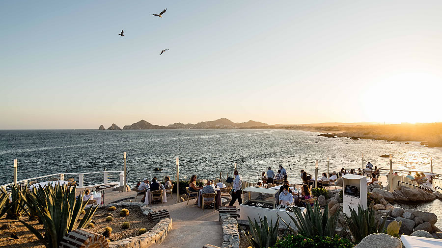 Los Cabos: donde la gastronom&iacute;a se convierte en una experiencia