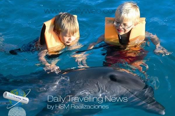-Avistaje de delfines en Puerto Vallarta.-