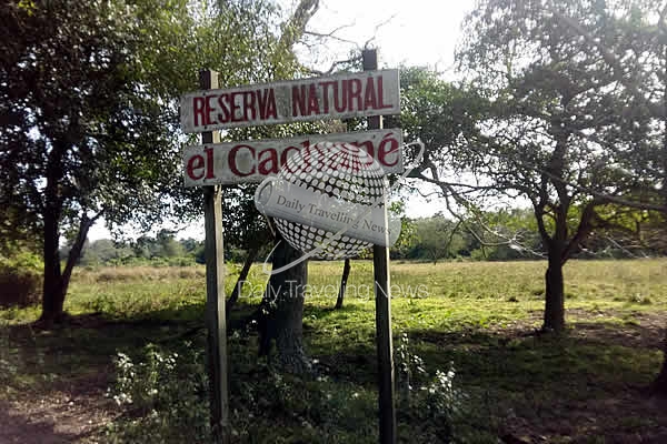 -Chaco - Reserva Natural El Cachapé-