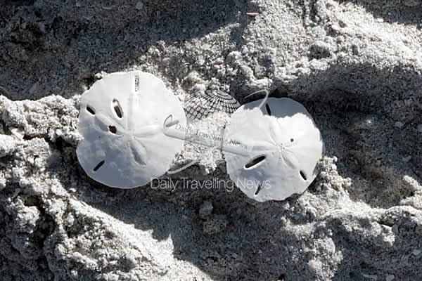 -National Seashell Day by The Beaches of Fort Myers & Sanibel-