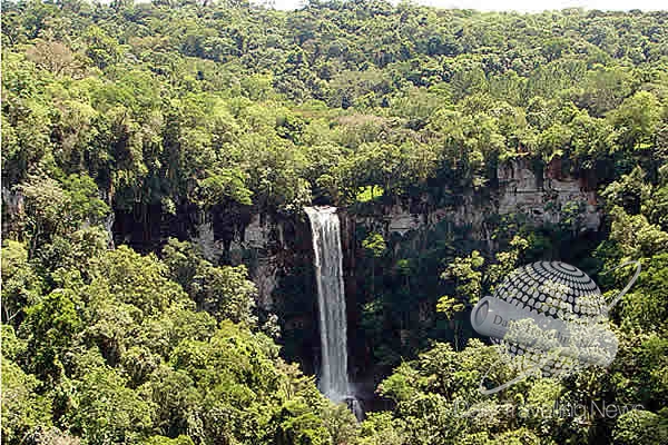 Verano En La Selva Misionera 1167