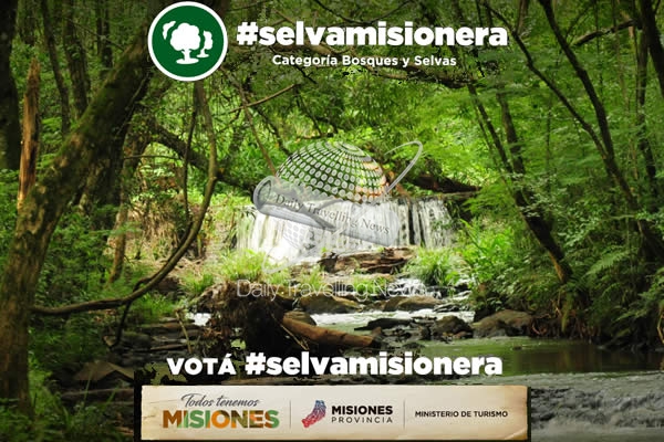 -La Selva Misionera se ofrece como Maravilla Natural Argentina-