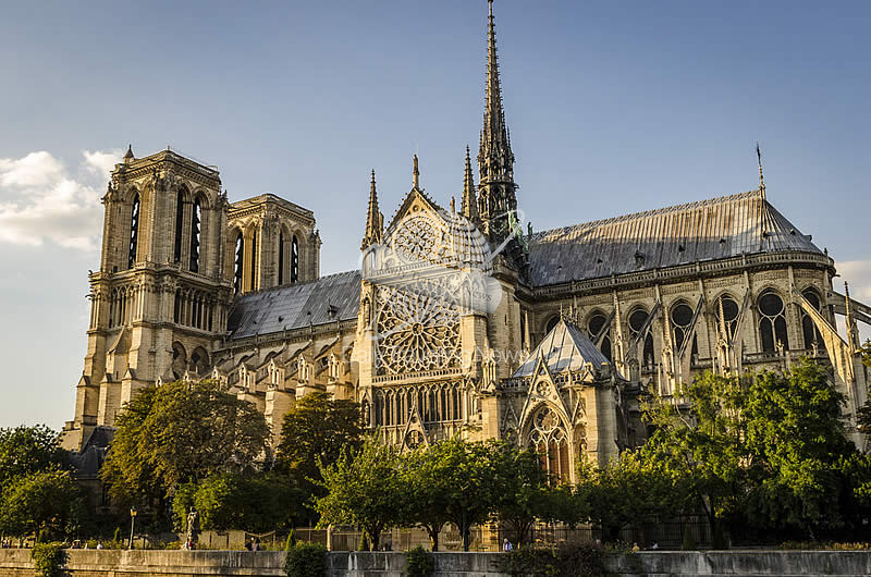 -Se incendió la catedral de Notre Dame-