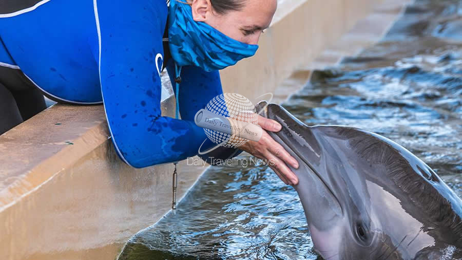 -Un nuevo amigo finlands se une al Clearwater Marine Aquarium-