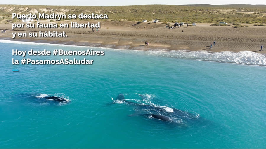 -Puerto Madryn y Ciudad de Buenos Aires dan a conocer sus atractivos-