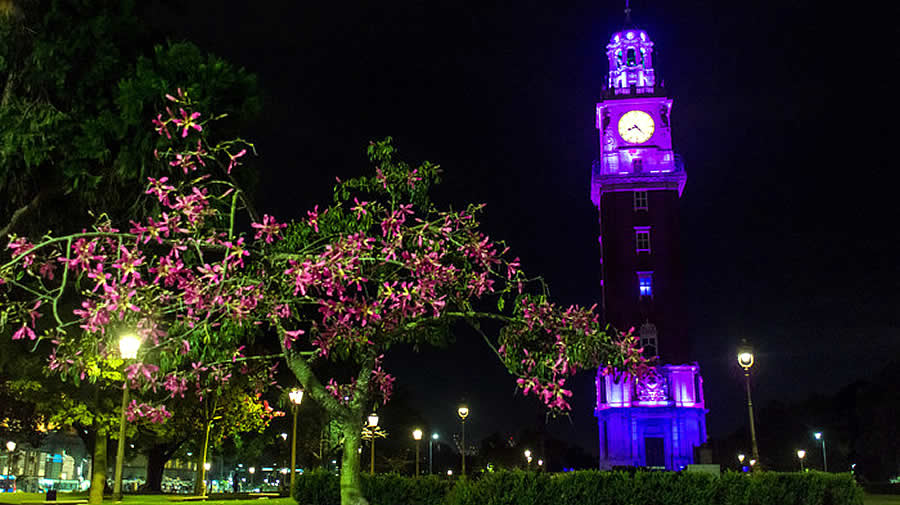 -La Ciudad de Buenos Aires se ilumina de color lila-