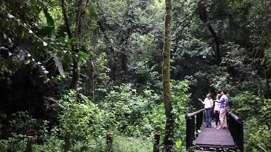 -Tucumán invierte en la Reserva y al Jardín Botánico de Horco Molle -