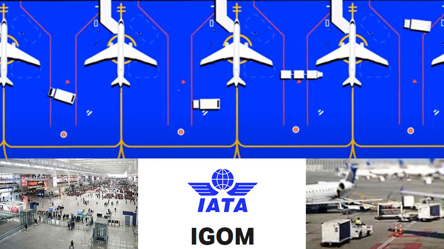 -IATA lanza un nuevo portal de operaciones terrestres-