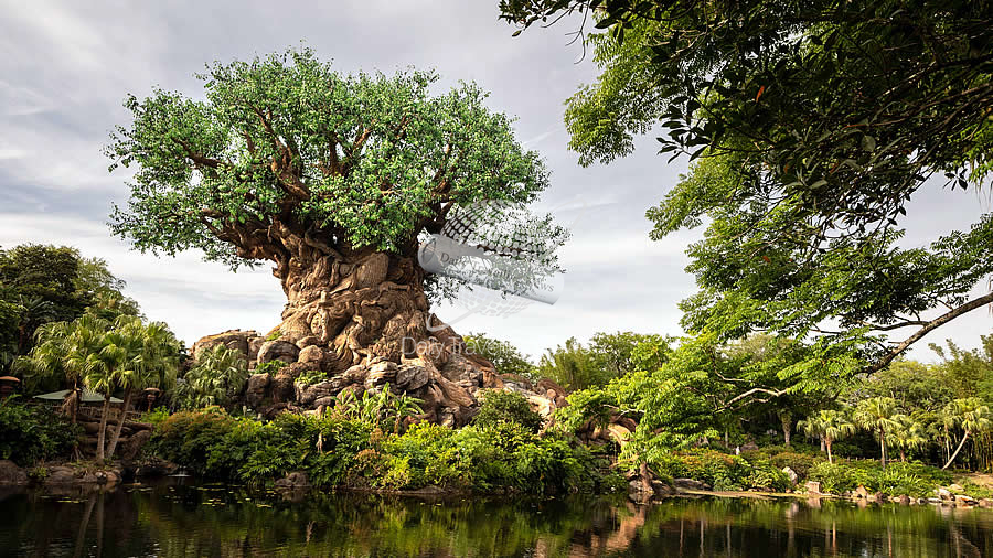 -Disney Animal Kingdom celebra 25 años mostrando la magia de la naturaleza-