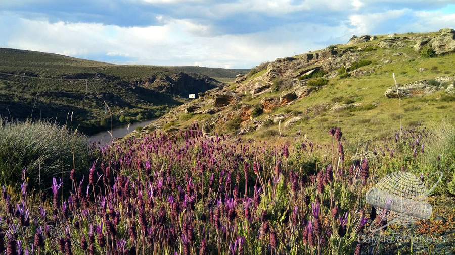 -Conociendo el Patrimonio Natural de Zamora-