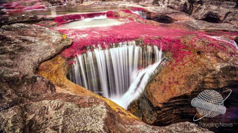 -Cao Cristales, Colombia, un destino seguro para el turista japons-