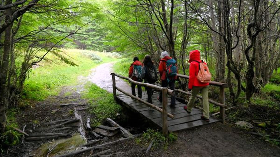 -Recomendaciones para quienes hagan senderismo en Tierra del Fuego-