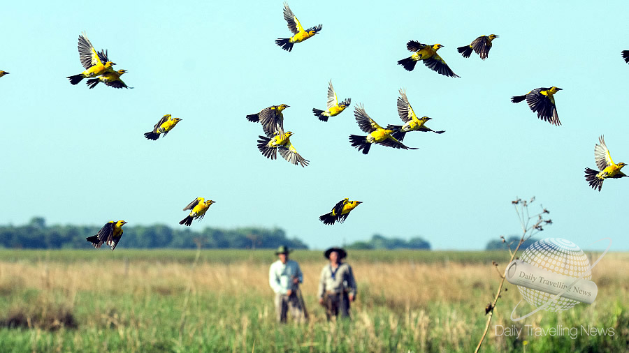 -Argentina se sum� a la gran jornada mundial de observaci�n de aves-