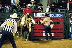 -Rodeo y Feria Ganadera en Houston-