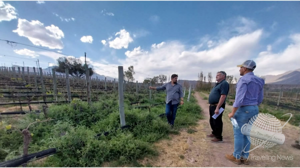 Directrices de Gestin Turstica para Bodegas y Viedos