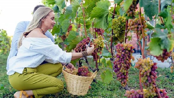 Colombia sigue conquistando a los latinoamericanos con sus experiencias, naturaleza y gastronom�a