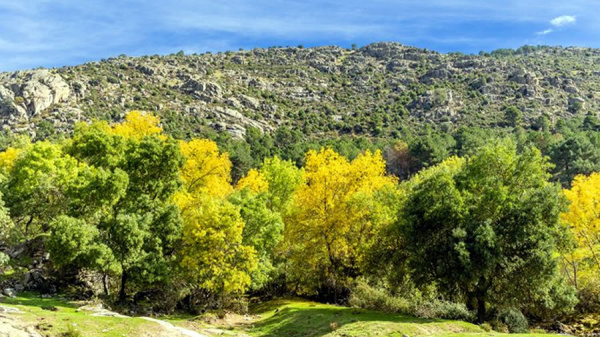 Sierra Norte de Madrid trabaja en el posicionamiento de experiencias turísticas en la región