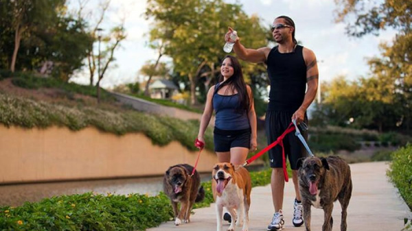 7 paseos para realizar con su mascota en San Antonio