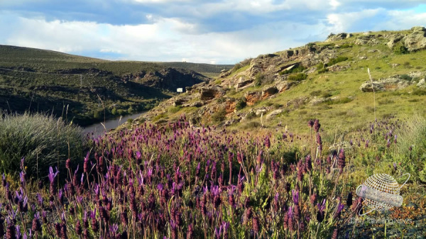 Conociendo el Patrimonio Natural de Zamora