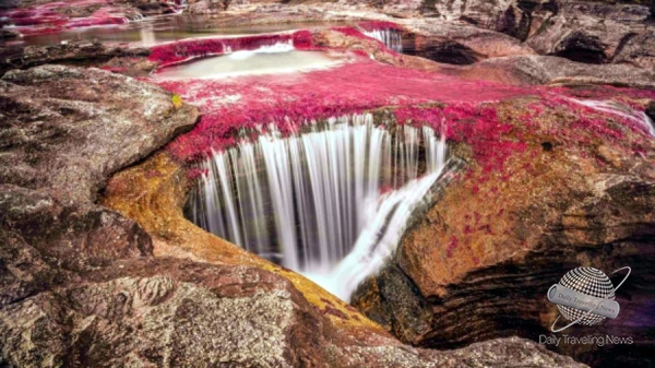 Cao Cristales, en Colombia pasa a ser un destino ms seguro para los turistas japoneses