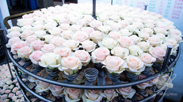 Las flores de Colombia iluminan el Da de los Enamorados