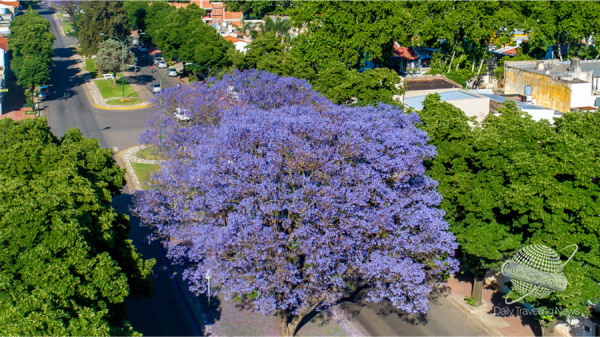 Caminatas guiadas en Jun�n