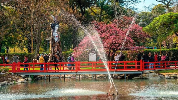 El sendero de sakuras, un espect�culo m�gico en el Jard�n Japon�s