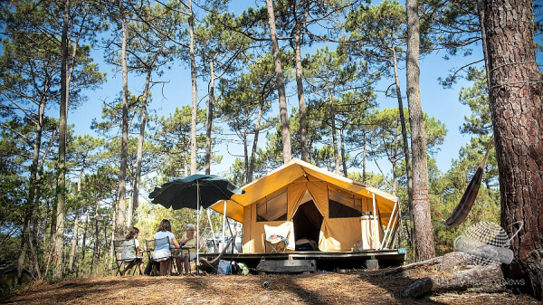 Huttopia llega a la Argentina y elige Mar Azul para su primer destino en el pa�s