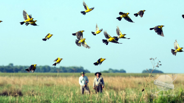 Argentina se sum� a la gran jornada mundial de observaci�n de aves